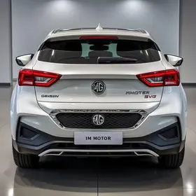 IM Motors