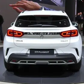 Peugeot conceitos novos