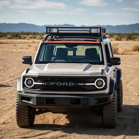 recall Ford