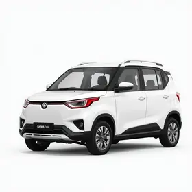 GWM Ora 5
