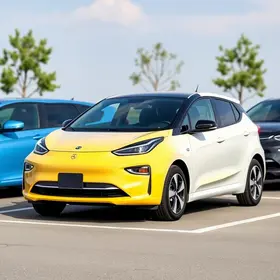 carro elétrico usado