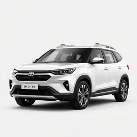 Tai 9 BYD