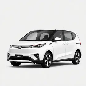 BYD