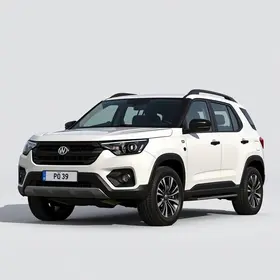 GWM Poer P30