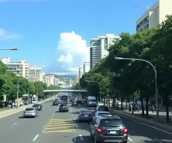 transito de curitiba